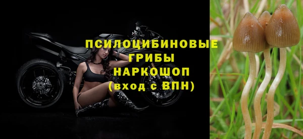 МДПВ Белокуриха