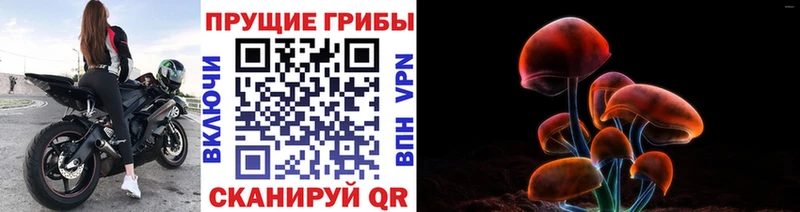 Галлюциногенные грибы Cubensis  наркотики  Володарск 